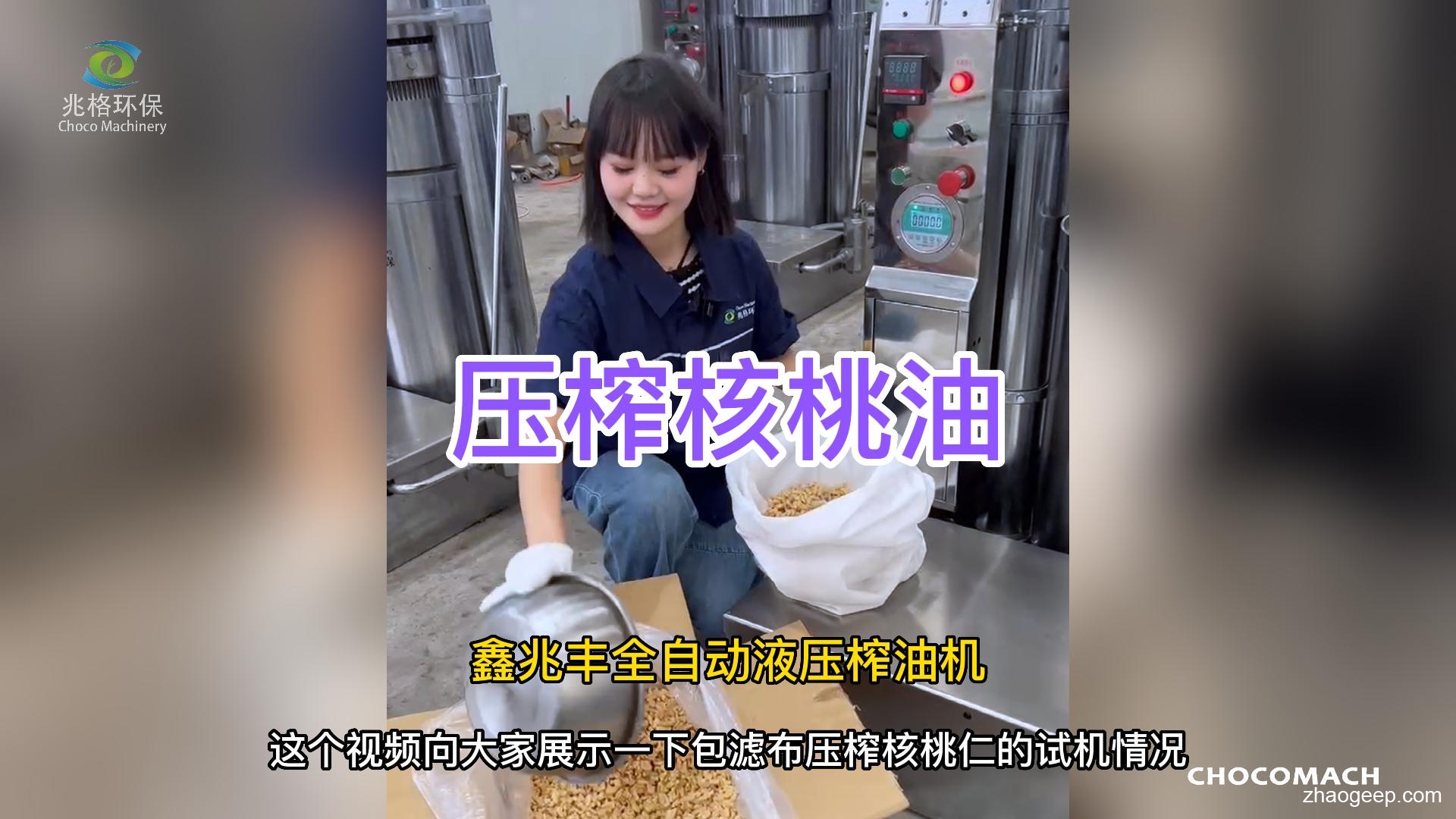 鑫兆豐YZL全自動液壓榨油機(jī) 核桃榨油機(jī) 專業(yè)廠家鮮榨核桃油